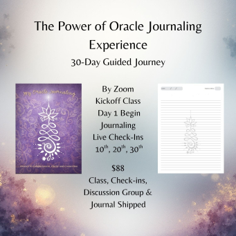 Guided Programs