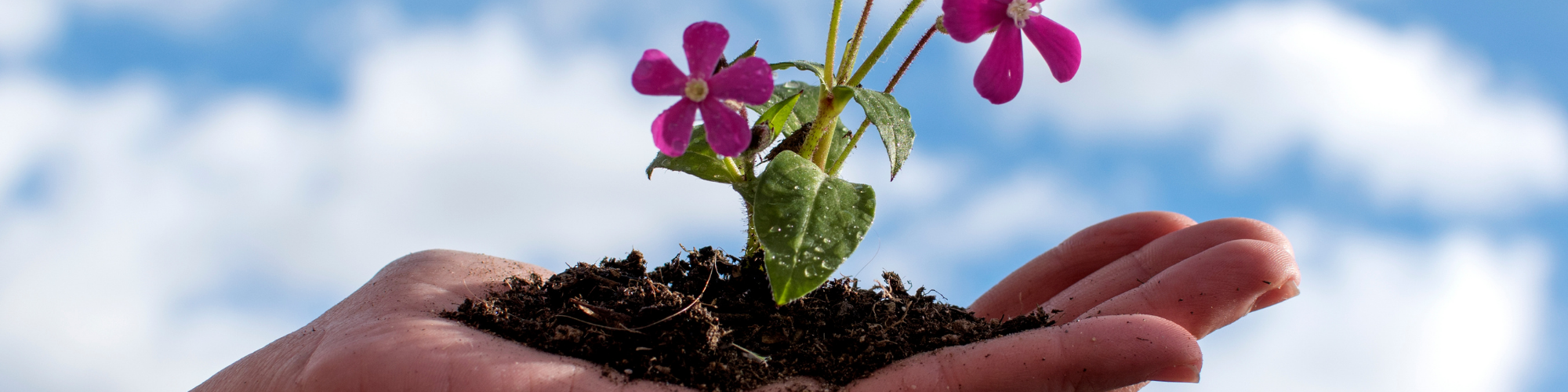 Coaching & Personal Growth