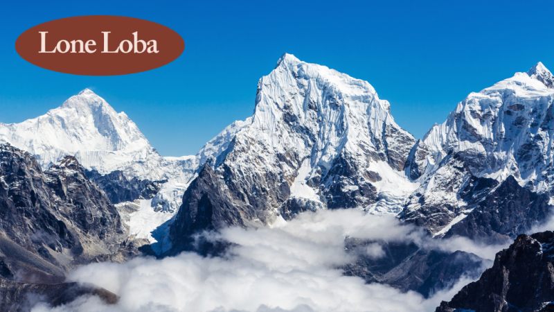 The Lone Loba Approach to Hypnotherapy 
