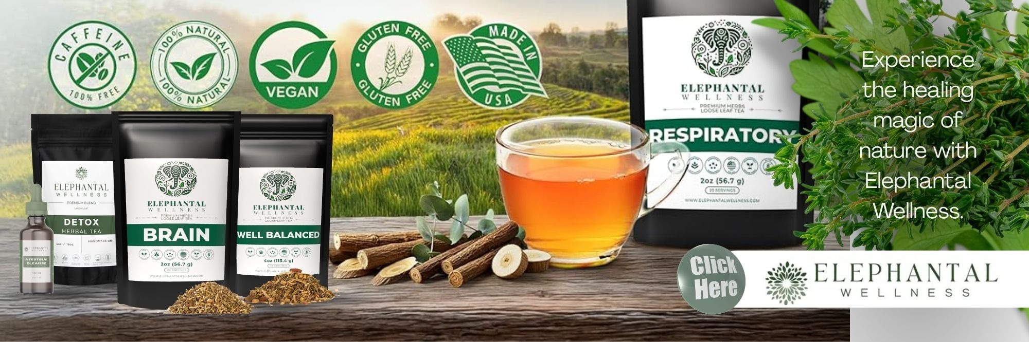 Slide Elephantal Wellness